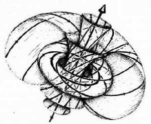 A time-slice (t=0) of a Robinson congruence.